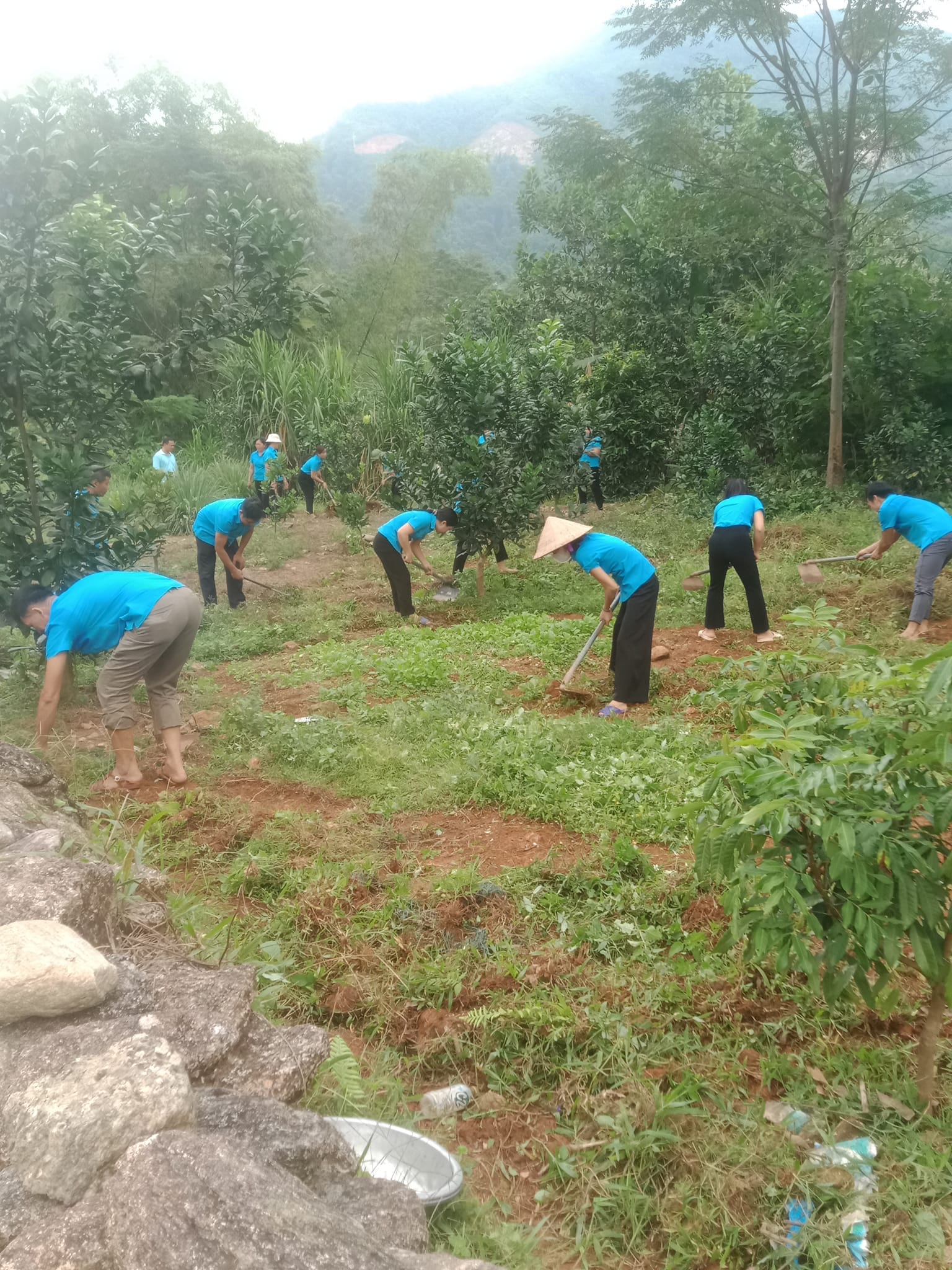 Công đoàn Trường Tiểu học Tân Lập phối hợp với thôn Minh Thượng tổ chức lao động thực hiện chương trình cải tạo vườn tạp năm 2023